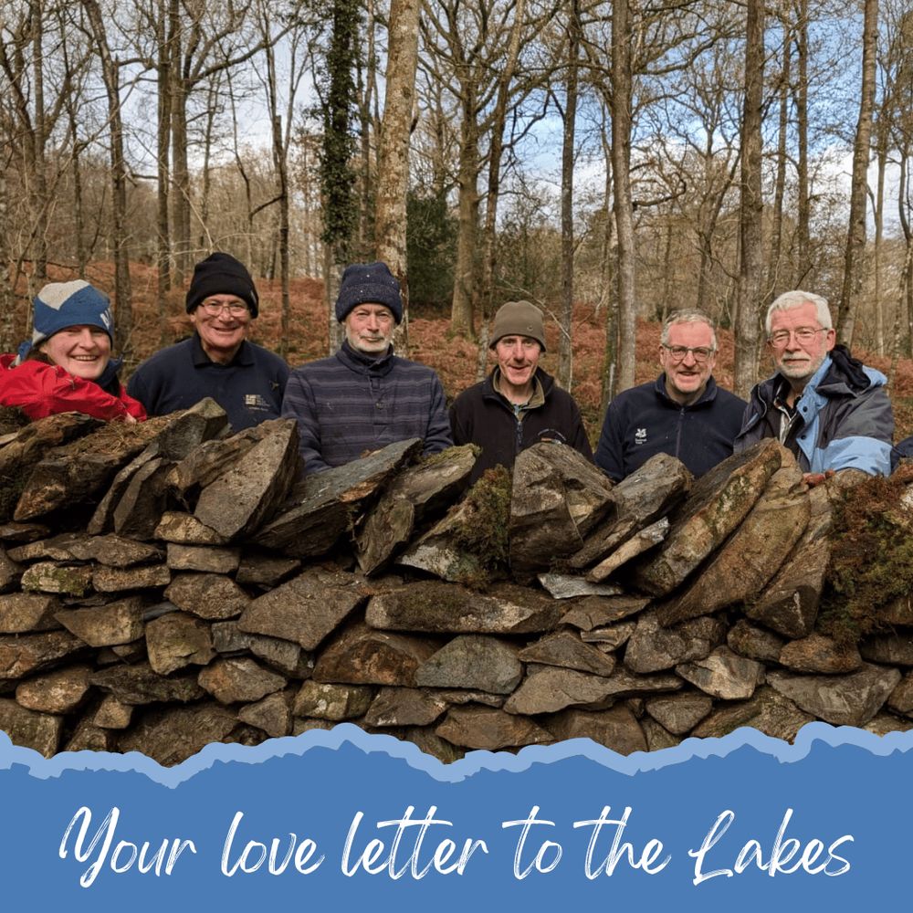 Photo of one of our work party group. 6 people, wearing woolly hats and outdoor clothing are stood behind a dry stone wall. In the background is a wooden area. Along the bottom, written in white on a blue background is “Your love letter to the Lakes”.
