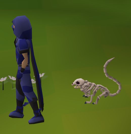 Bone Squirrel OSRS