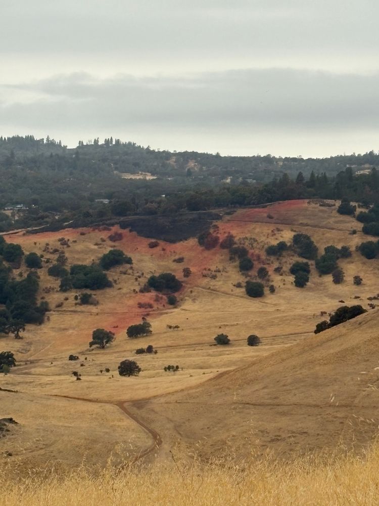 Burn spot with red fire retardant showing.