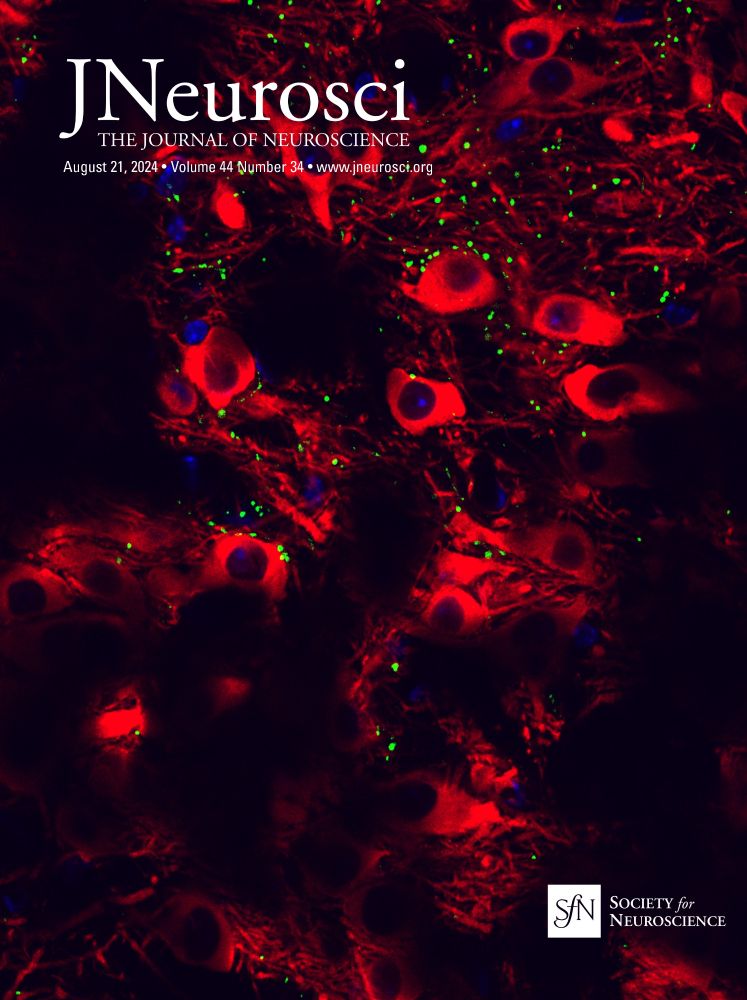 When the Heart Meets the Mind: Exploring the Brain–Heart Interaction during Time Perception