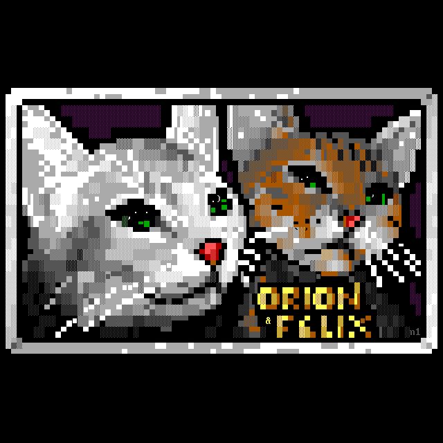 Two housecats with keen curiosity and perky whiskers, the nearer with grey fur, in front of one with a more orange colouration, crowd their faces out of the darkness into a grey viewing frame.  They are named as Orion and Felix.