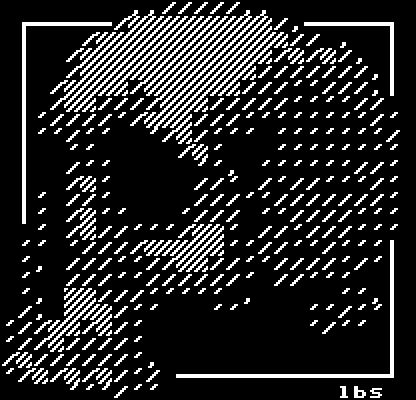 The top piece of a human skull sits on a surface, entirely composed of diagonal lines