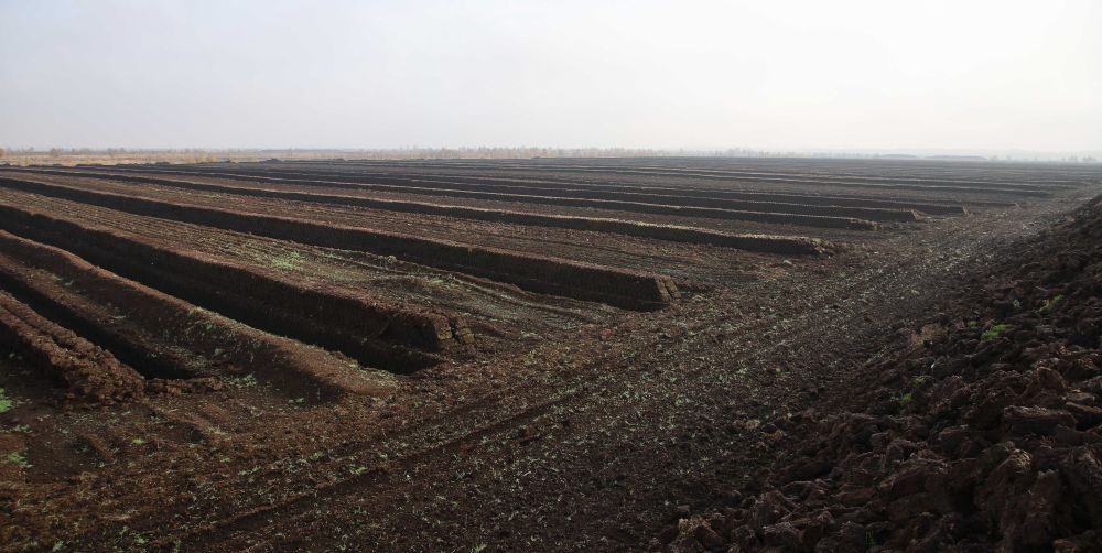 Großflächige Abtorfungen im Drebberschen Moor im Landkreis Vechta.