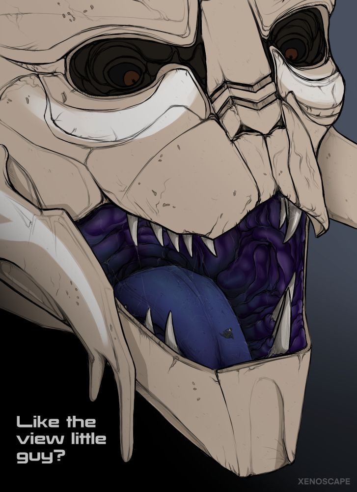 A macro turian by the name of Decian is shown with an open maw, looking down in amusement at a tiny human on his tongue. Next to his head is a string of dialogue that says the following: "Like the view little guy?"