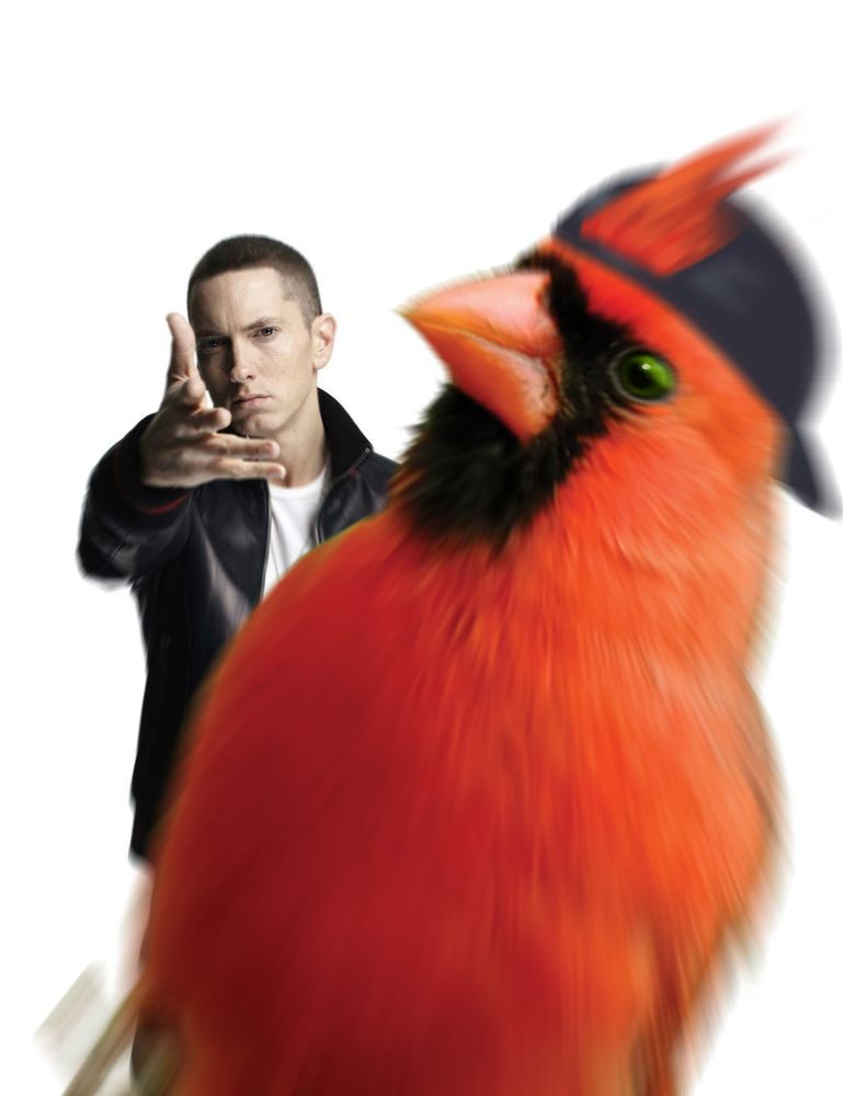 Pictured is a modified version of the "woe, plague be upon ye" meme. Eminem is throwing a cardinal at the viewer. The cardinal in question has a backwards black baseball cap, green eyes, and an orange beak.