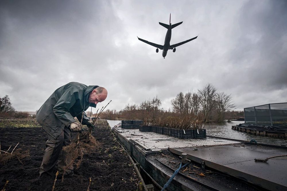 Rechter: staat trok Schiphol voor bij geluidsoverlast