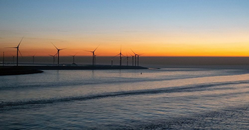 Natuurorganisaties klagen staat aan om gebrekkige bescherming Noordzee