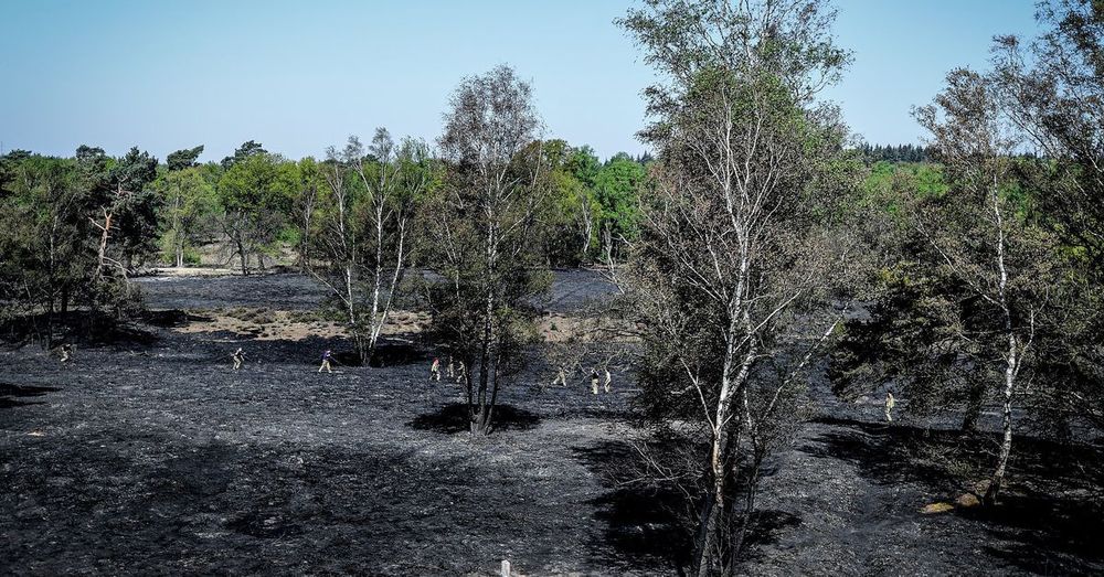 Van water weten we alles en  van natuurbranden veel te weinig, terwijl:  ‘Nederland is dichtbevolkt, dat maakt ons kwetsbaar’