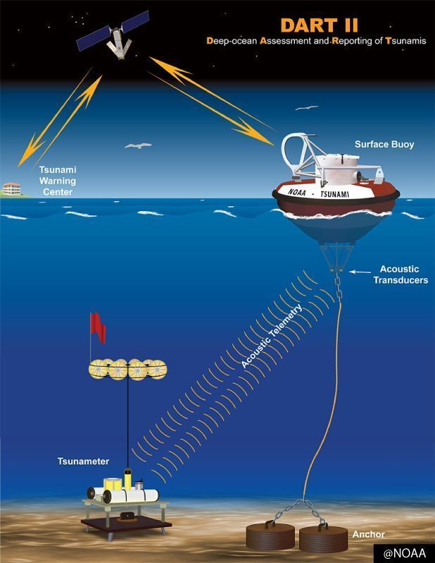 A National Oceanic & Atmospheric Administration (NOAA) diagram illustrating how tsunami wave information in the deep ocean is transmitted to tsunami warning centers (right)