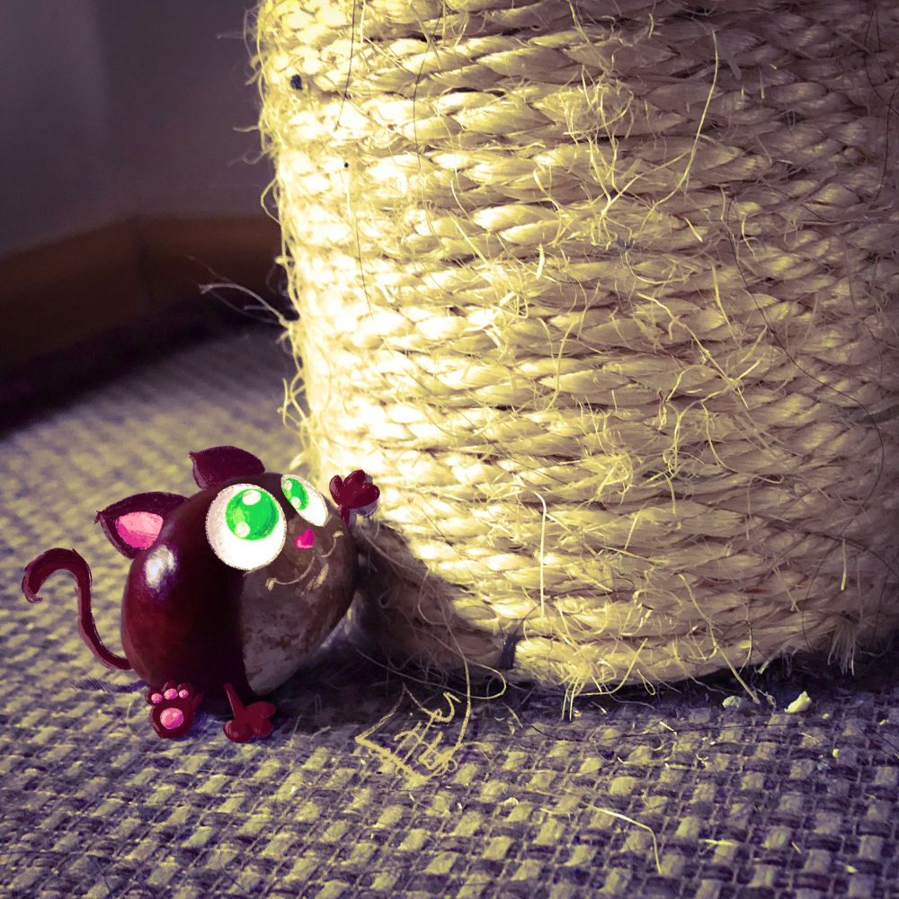 Eine Katztanie am Kratzbaum