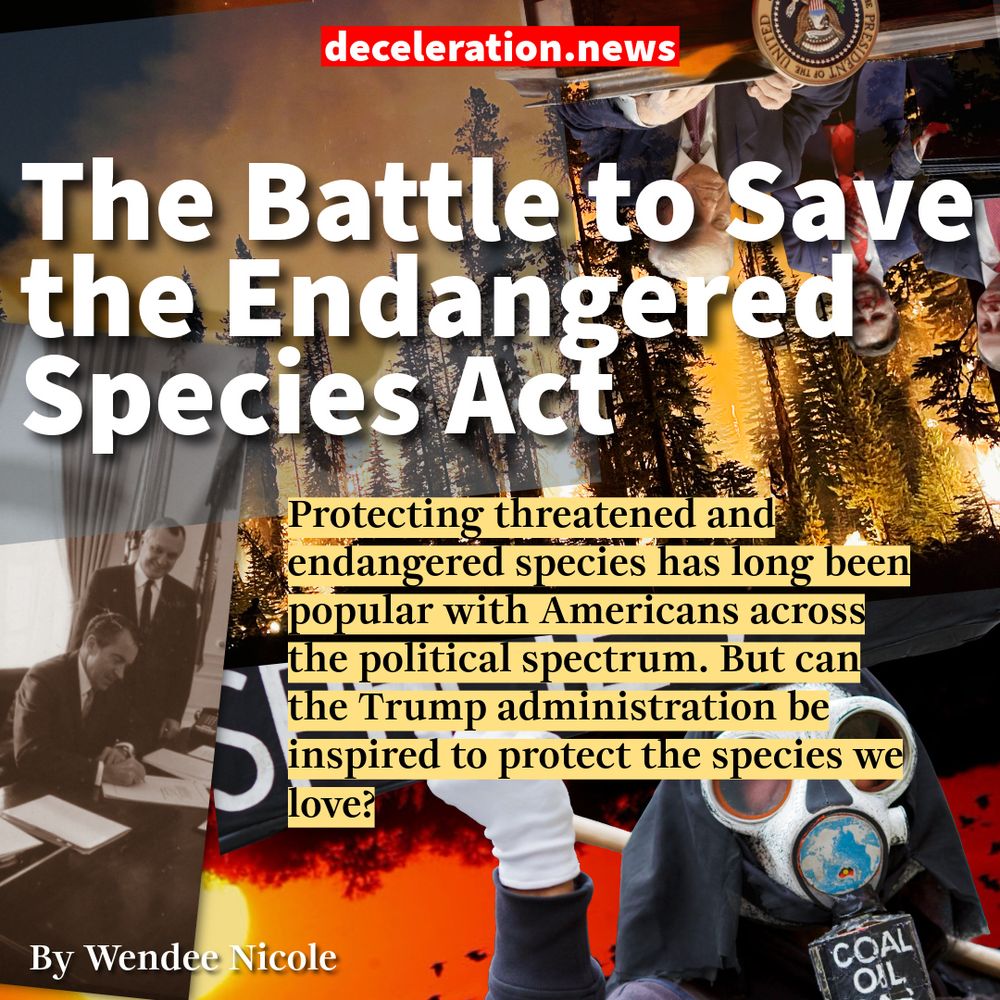 Headline over assortment of images reads: The Battle to Save the Endangered Species Act