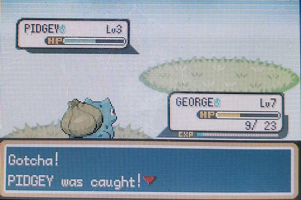 Pokémon LeafGreen version - Gotcha! PIDGEY was caught!