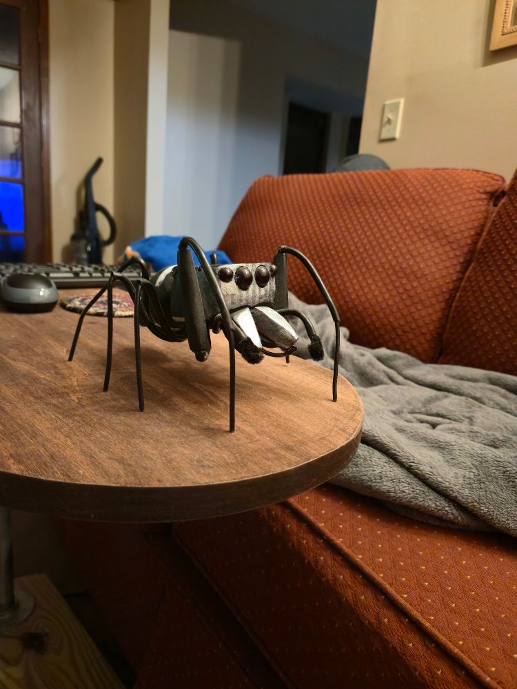 Silly boxy little black jumping spider with a silvery face and thick first leg pair and forward facing large chelicerae. He's made of wood and wire and black beads for eyes 