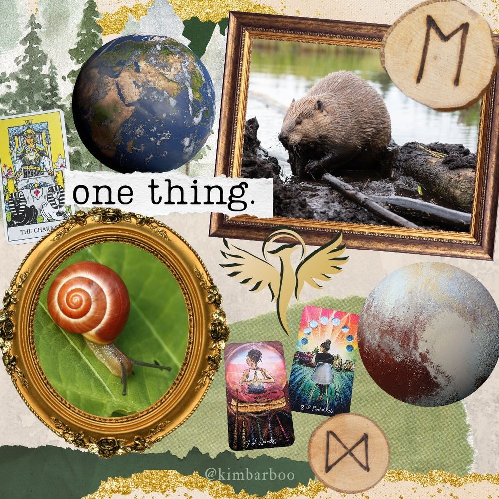 Collage of a forest, the earth, the chariot tarot card, a beaver, a snail, a Phoenix, the 7 of wands tarot card, the 8 of pentacles tarot card, Pluto, Norse runes, and text saying "one thing"