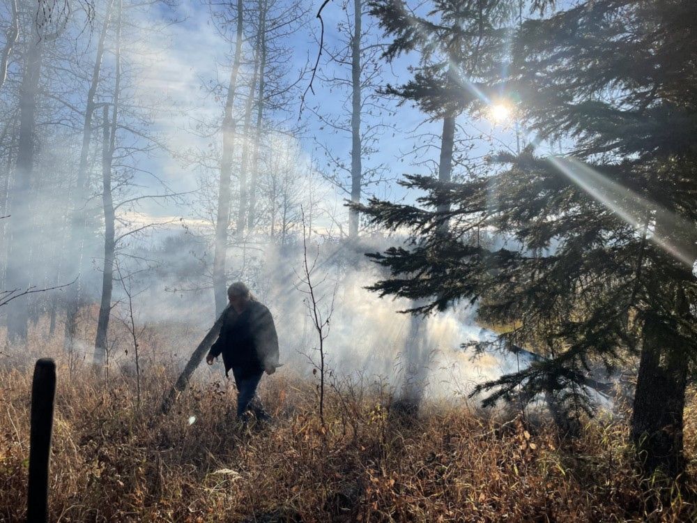 Opinion: A solution for reducing wildfire risk and costs in B.C.