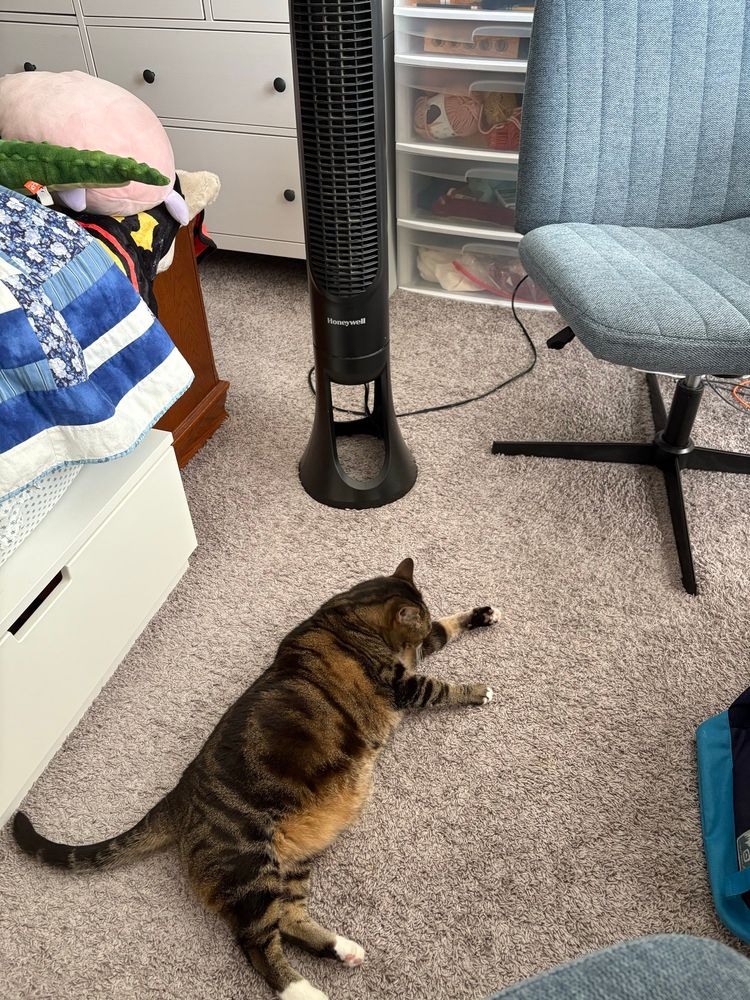 A black and copper tabby flops on the floor in front of a tall black tower fan.