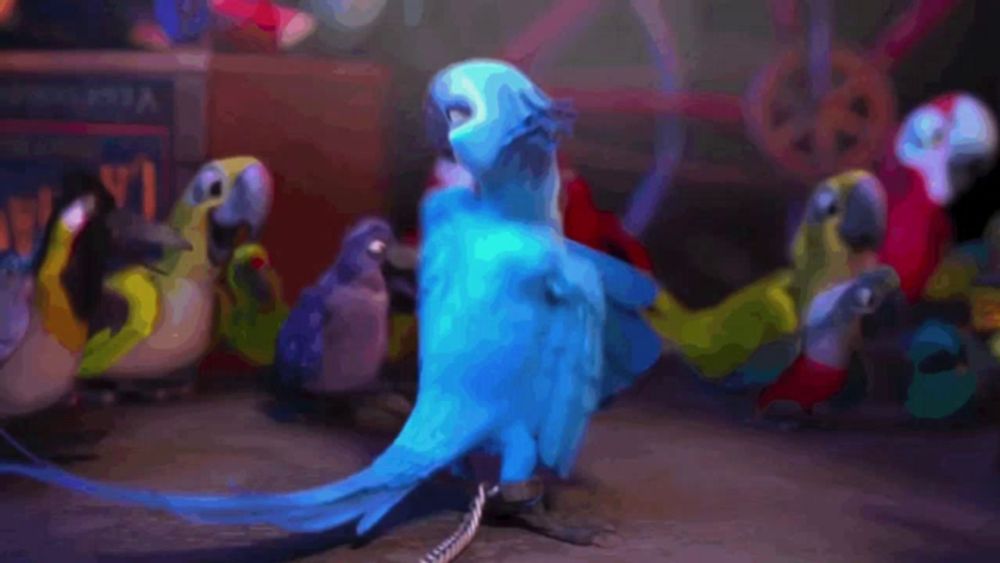 a blue parrot is standing in front of a group of parrots