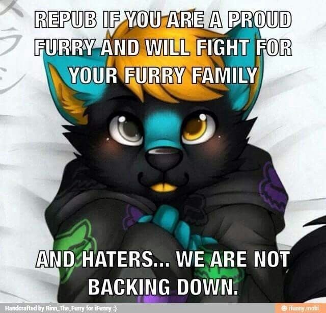 REPUB IF YOU ARE A PROUD FURRY AND WILL FIGHT FOR YOUR FURRY FAMILY! AND HATERS... WE ARE NOT BACKING DOWN