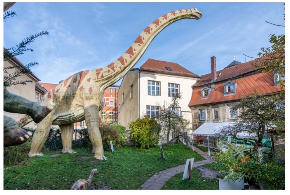 View from the dinosaur garden towards the museum main building. A large sauropod sculpture stands in a backyard garden