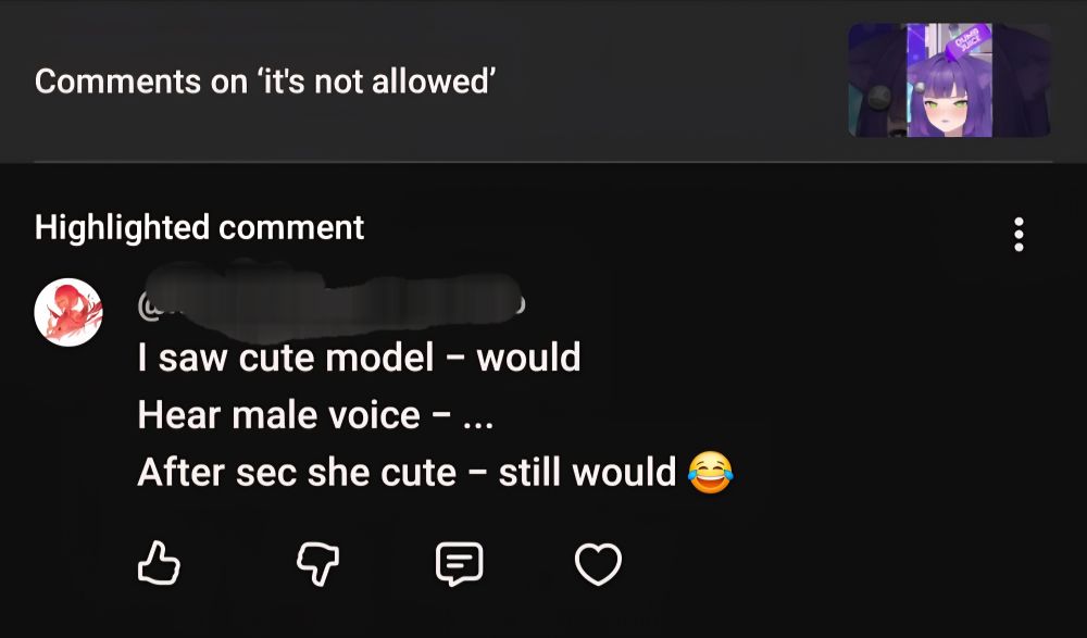 Screenshot of YouTube comment. 