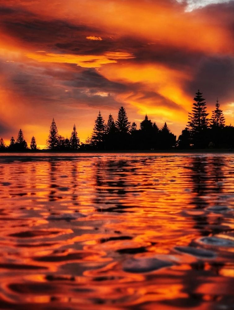 Gisborne Beach in New Zealand during a stunning sunset that reflects on water.