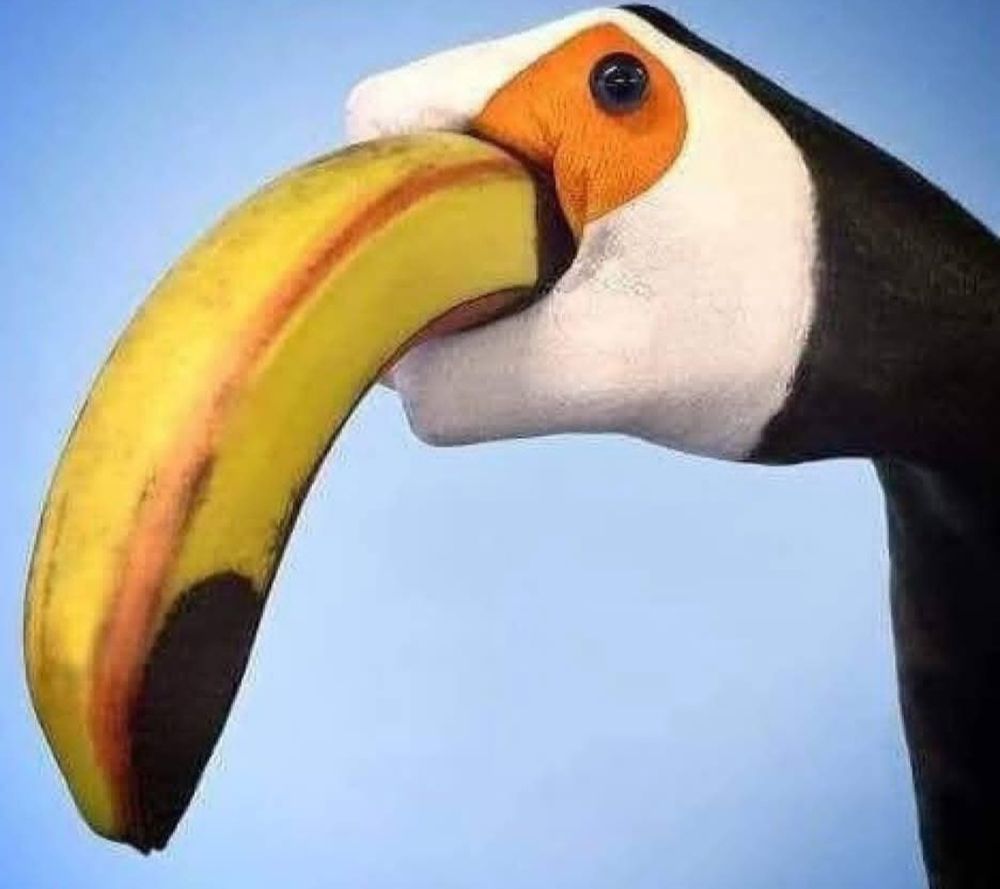 A photo of a hand painted to look like the head of a Toucan Bird, holding a banana that's supposed to be the yellow beak. The rotton tip adds a nice touch!