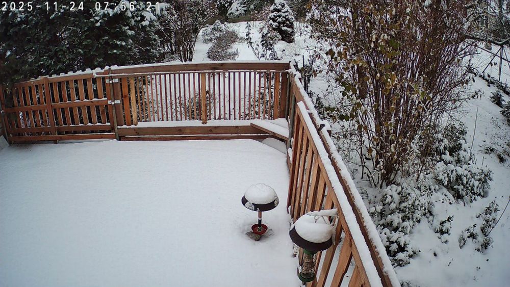 A snow blanketed terrace and feeders and garden, wow.