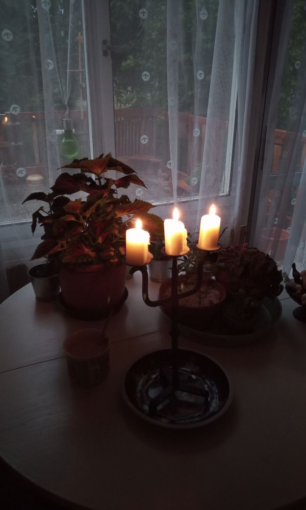 It's dark as it is raining outside. I lit candles in a three arm black forged metal candelabra that sits in a tin saucer on a white table where all the plants are situated by the window.
