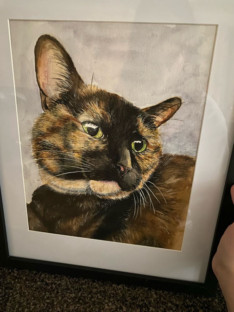 Framed photo with white mat of a tortoiseshell cat with green eyes, eyes looking slightly to her right.