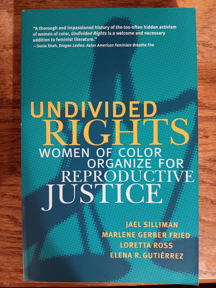 Undivided Rights: Women of Color Organize for Reproductive Justice by Jael Silliman, Marlene Gerber Fried, Loretta Ross, and Elena R. Gutiérrez 