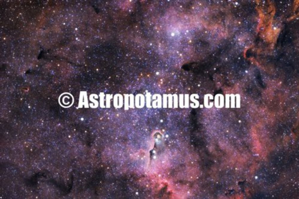 The Elephant Trunk Nebula - Astropotamus's Ko-fi Shop