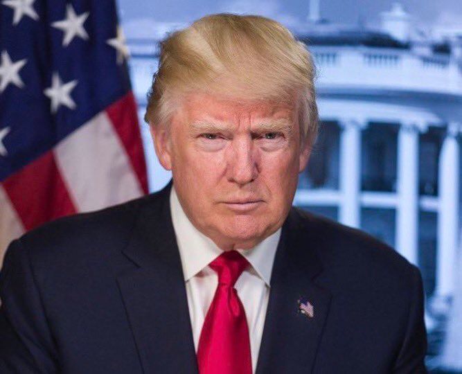 president-elect donald trump