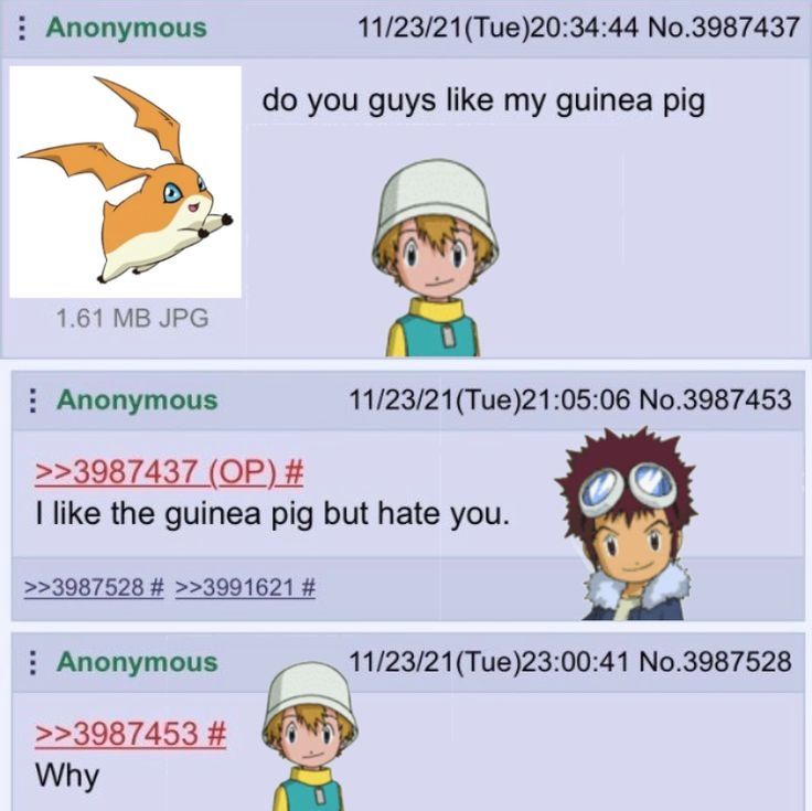An online conversation between T.K. and Davis from Digimon Adventure 02.
TK- do you like my guinea pig *shows picture of Patamon*
Davis- I like the guinea pig but I hate you.
Tk- Why