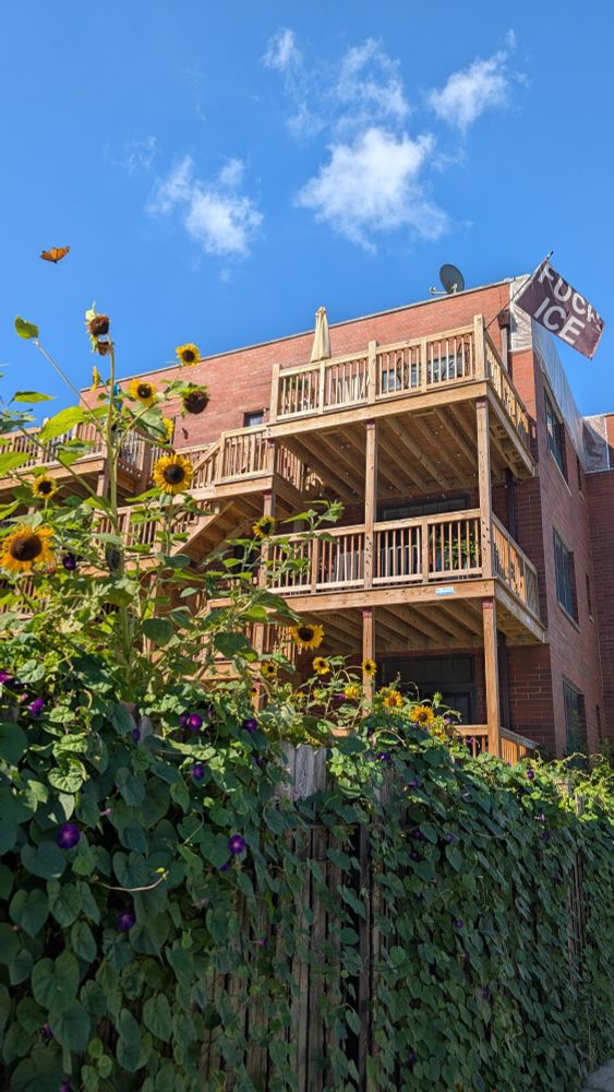 Uptown, Chicago. Sunny Sunday morning with sunflowers, butterflies and FUCK ICE flag 