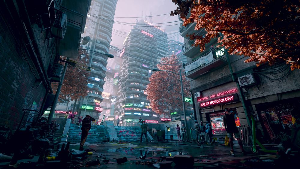 brief alt text description of the first image