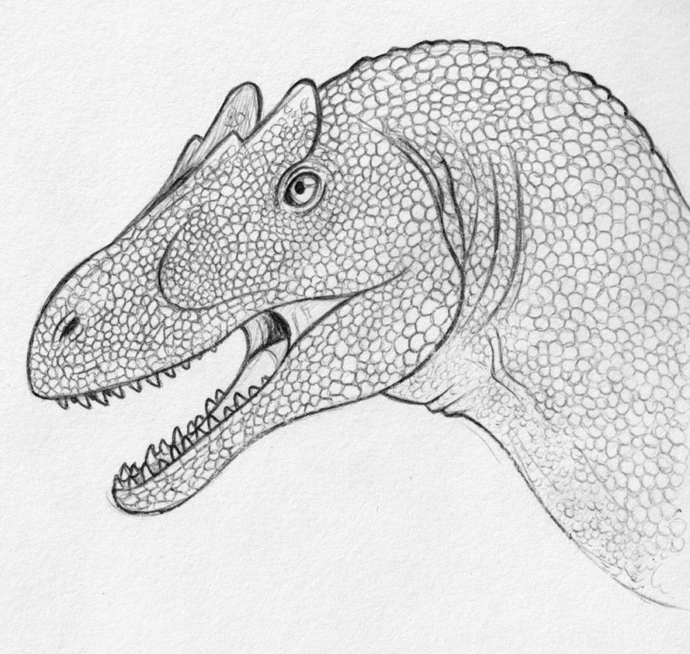A ballpoint pen sketch of an Allosaurus in black and white 