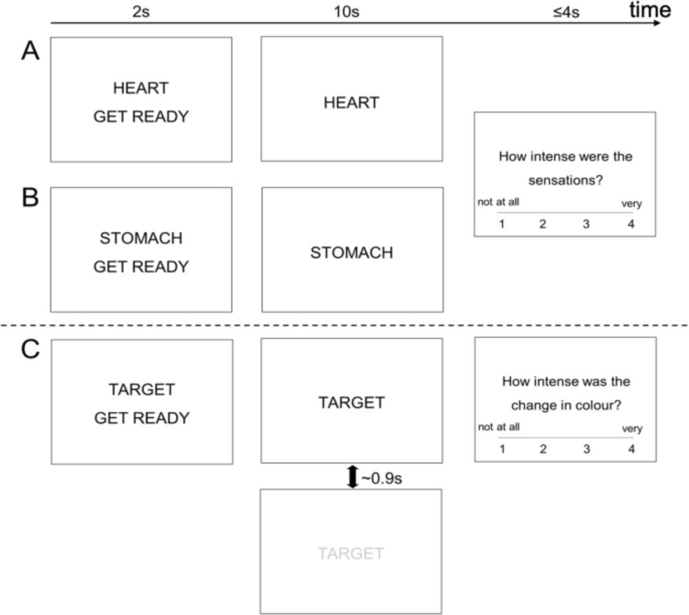 General and anxiety-linked influences of acute serotonin reuptake inhibition on neural responses associated with attended visceral sensation - Translational Psychiatry