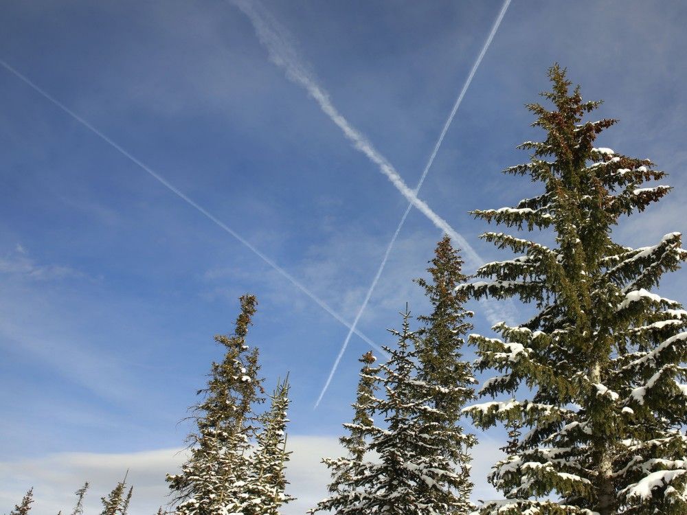 Why Danielle Smith, Scott Moe and other politicians get caught up in chemtrails conspiracy