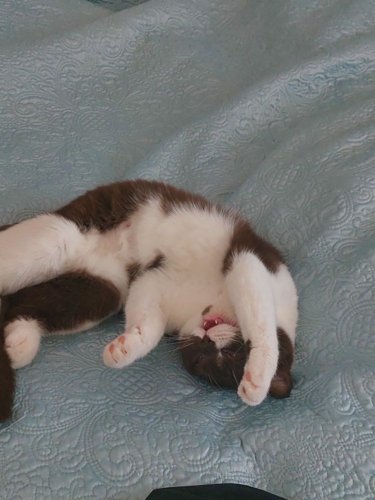 Jane throwing a tantrum