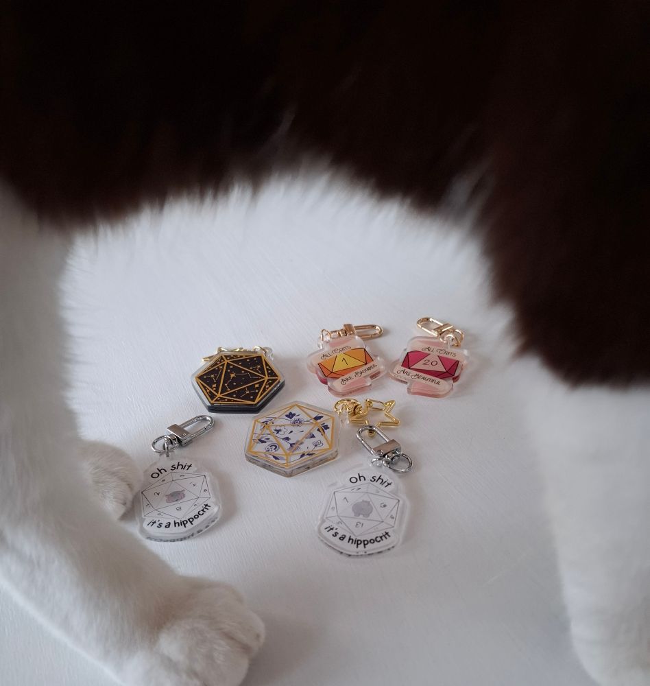 My cat standing in front of my new keychains that I'm trying to photograph. You can see them between her legs and belly
