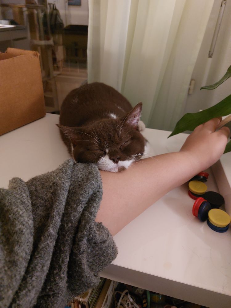 Jane sleeping on my arm on the second evening after we brought her home 🥹
