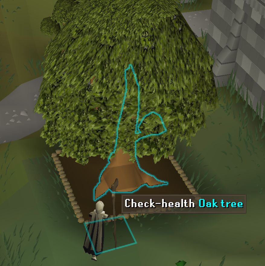 Me walking up to my oak tree in runescape farm run :3
