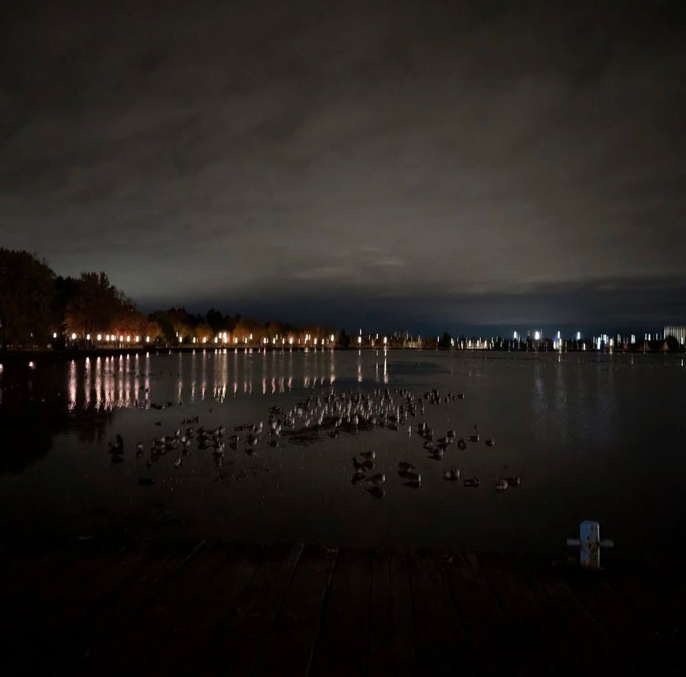 Dow's lake in the early morning with no lights yet, geese and gulls napping. 
