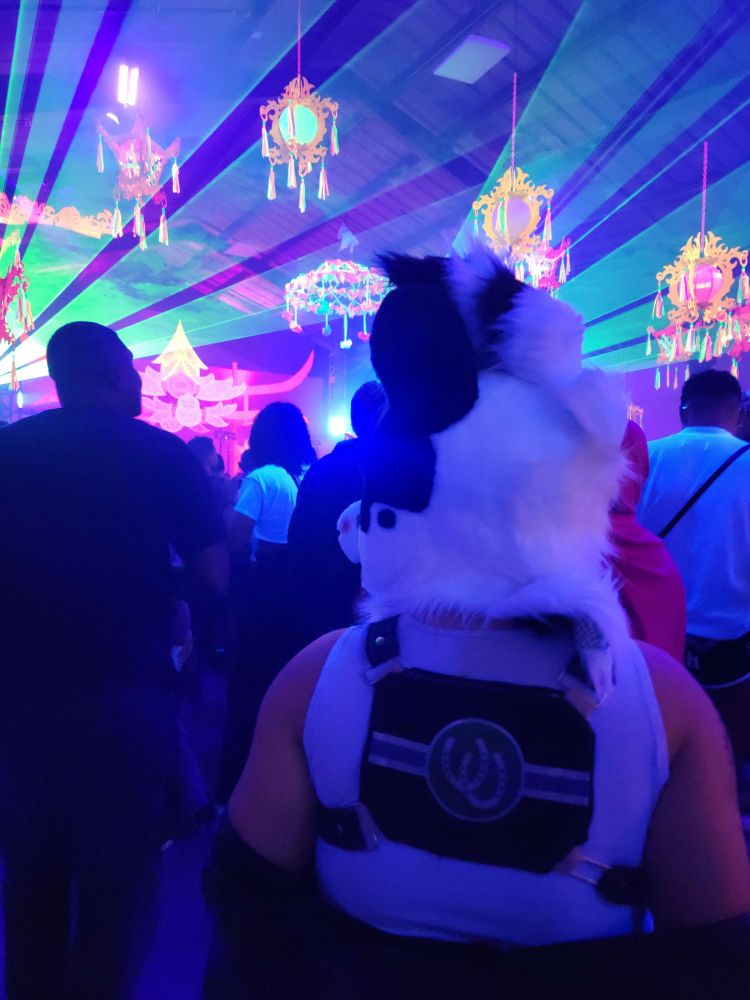 image of a pony fursuiter from a rave with a harness back-patch featuring the ponyplay pride flag