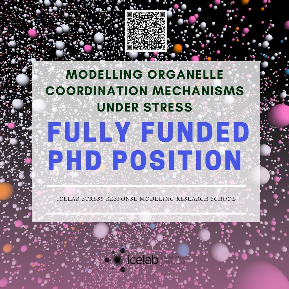 A poster advertising a fully funded PhD position. There is a QR code to the application page on the top center area. 