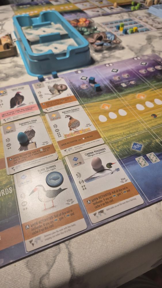 A photo of my player mat during an ongoing game of Wingspan