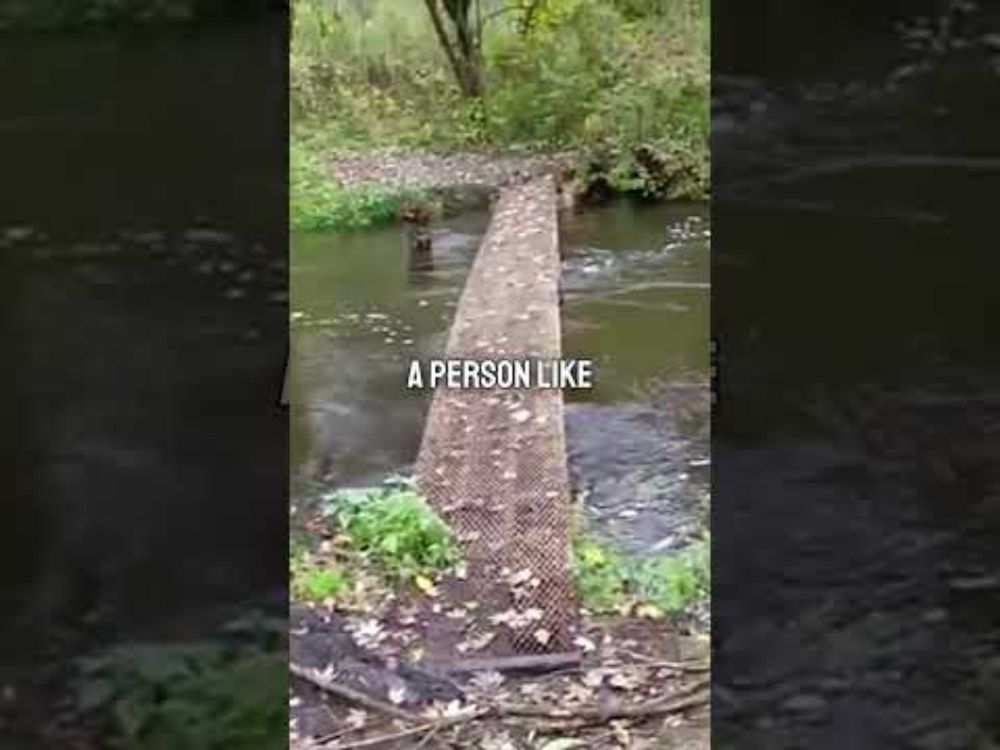 The Devils Bridge in Rockford, Michigan...