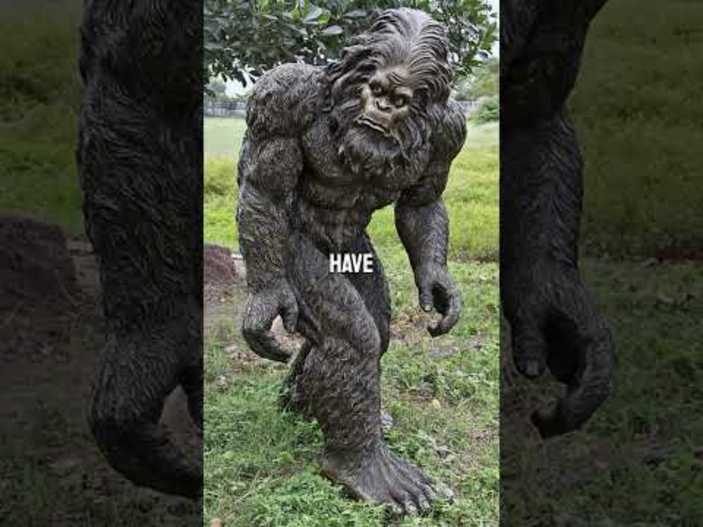 Why aren't there many bigfoot sightings in Northern Illinois?