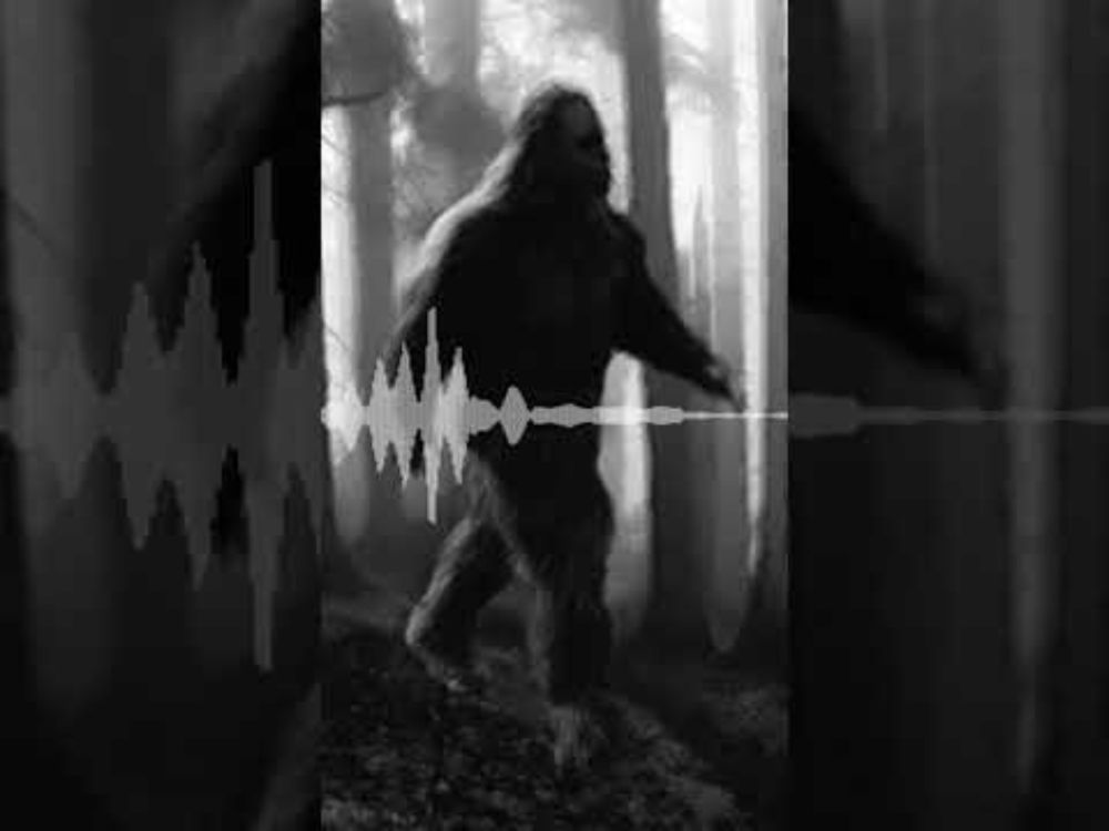 Don't do cryptid hunts like this!
