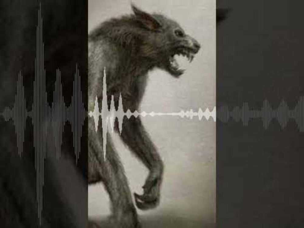 Is is possible to train a dog for cryptid hunting?